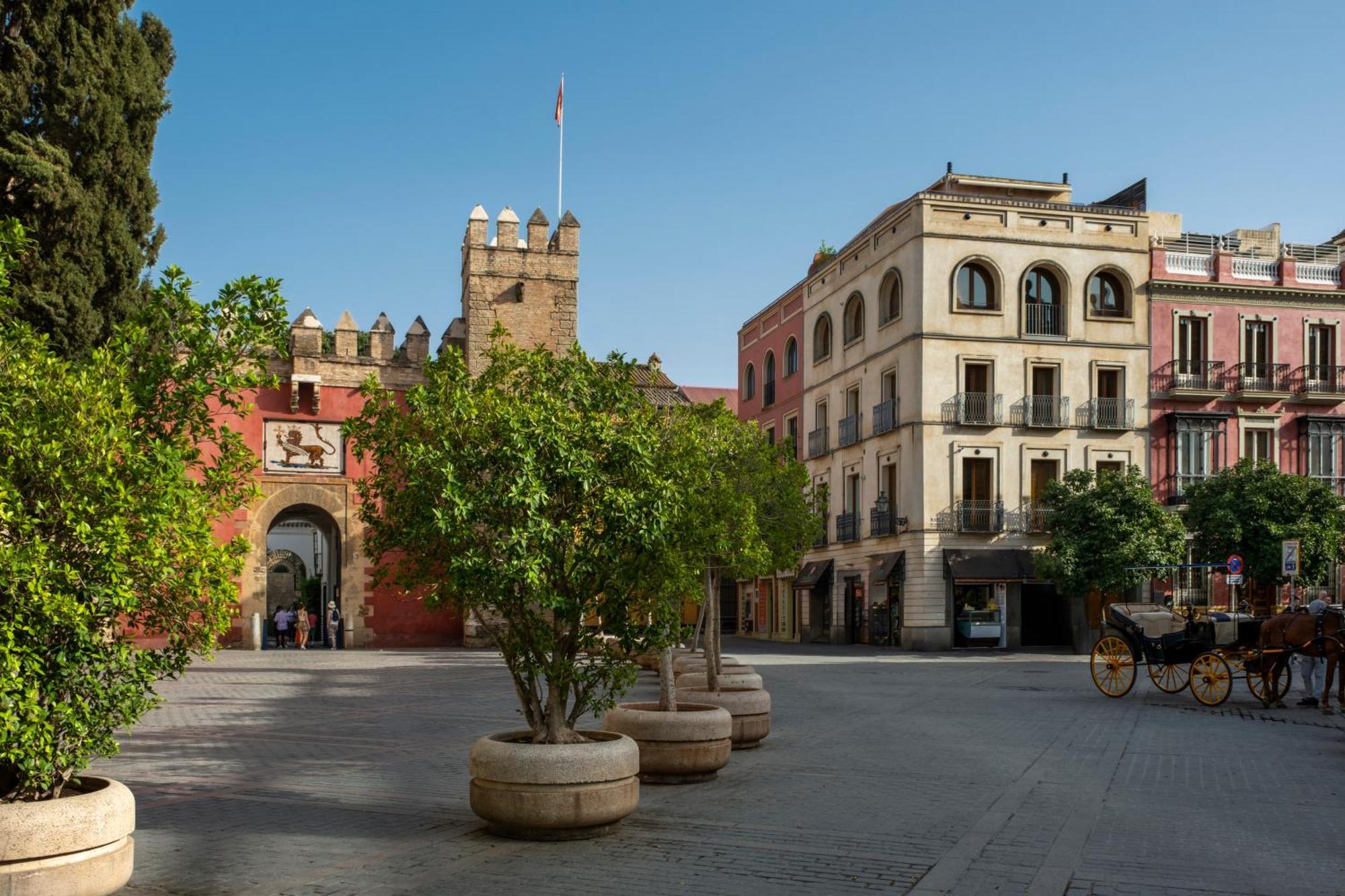 Appartement Magno Santo Tomas *